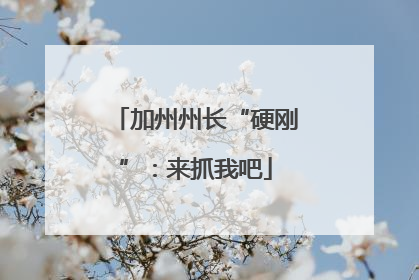 加州州长“硬刚”：来抓我吧