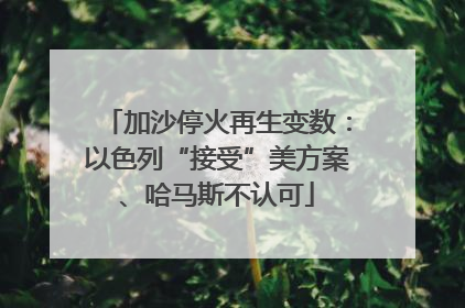 加沙停火再生变数：以色列“接受”美方案、哈马斯不认可