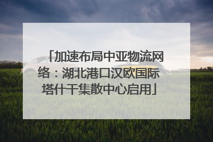 加速布局中亚物流网络：湖北港口汉欧国际塔什干集散中心启用