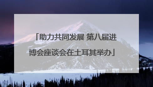 助力共同发展 第八届进博会座谈会在土耳其举办