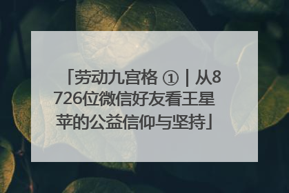 劳动九宫格 ①｜从8726位微信好友看王星苹的公益信仰与坚持
