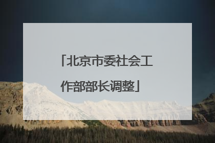 北京市委社会工作部部长调整