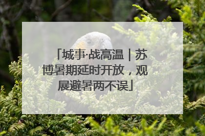 城事·战高温｜苏博暑期延时开放，观展避暑两不误
