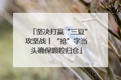 坚决打赢“三夏”攻坚战丨“抢”字当头确保颗粒归仓