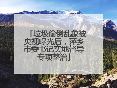 垃圾偷倒乱象被央视曝光后，萍乡市委书记实地督导专项整治