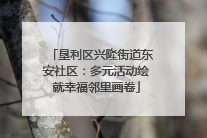 垦利区兴隆街道东安社区：多元活动绘就幸福邻里画卷