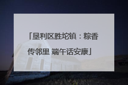 垦利区胜坨镇：粽香传邻里 端午话安康