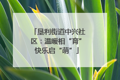 垦利街道中兴社区：温暖相“育” 快乐启“萌”