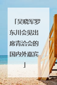 吴晓军罗东川会见出席青洽会的国内外嘉宾