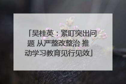 吴桂英：紧盯突出问题 从严整改整治 推动学习教育见行见效