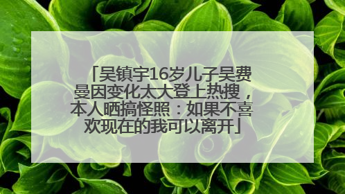 吴镇宇16岁儿子吴费曼因变化太大登上热搜，本人晒搞怪照：如果不喜欢现在的我可以离开