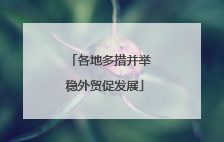 各地多措并举稳外贸促发展