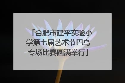 合肥市建平实验小学第七届艺术节巴乌专场比赛圆满举行