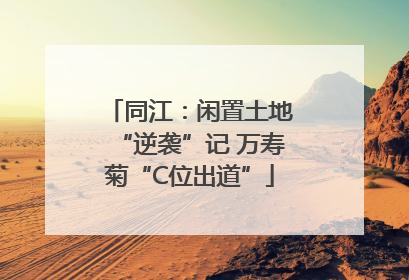 同江：闲置土地“逆袭”记 万寿菊“C位出道”