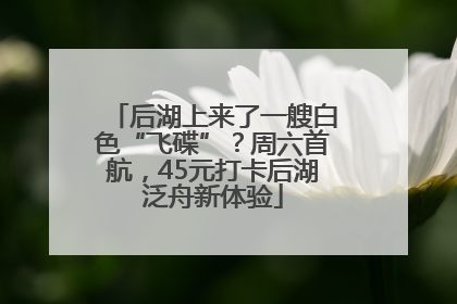 后湖上来了一艘白色“飞碟”？周六首航，45元打卡后湖泛舟新体验