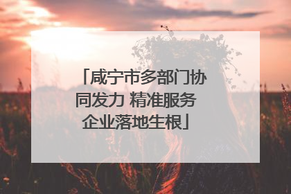 咸宁市多部门协同发力 精准服务企业落地生根