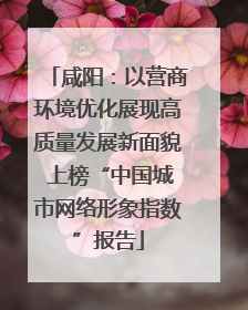 咸阳：以营商环境优化展现高质量发展新面貌 上榜“中国城市网络形象指数”报告