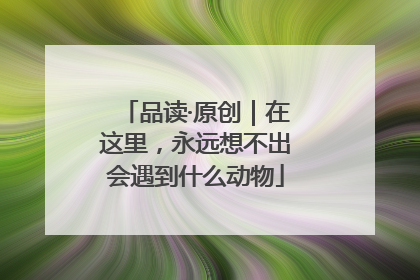品读·原创｜在这里，永远想不出会遇到什么动物