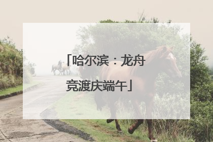 哈尔滨：龙舟竞渡庆端午