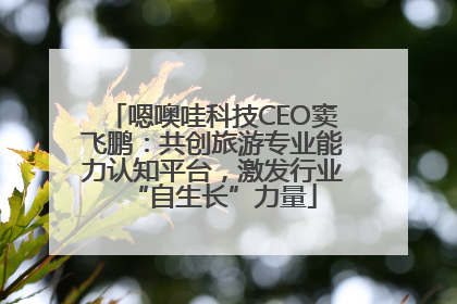 嗯噢哇科技CEO窦飞鹏：共创旅游专业能力认知平台，激发行业“自生长”力量