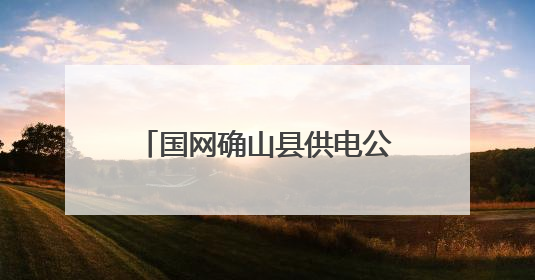 国网确山县供电公司：“粽”情“粽”意 安康常驻端午