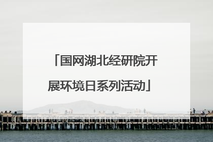 国网湖北经研院开展环境日系列活动