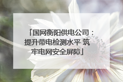 国网衡阳供电公司：提升带电检测水平 筑牢电网安全屏障