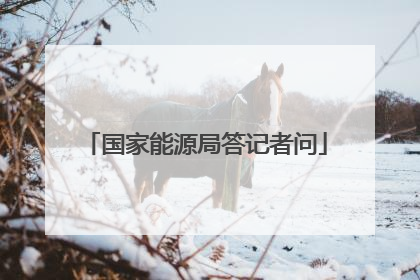 国家能源局答记者问