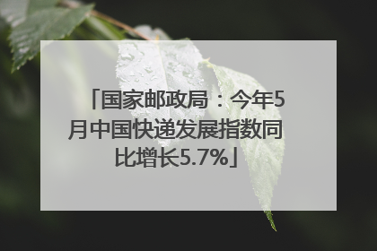 国家邮政局：今年5月中国快递发展指数同比增长5.7%