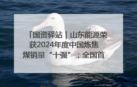 国资驿站｜山东能源荣获2024年度中国炼焦煤销量“十强”；全国首例铁路盖上智慧物流园钢结构主体完工