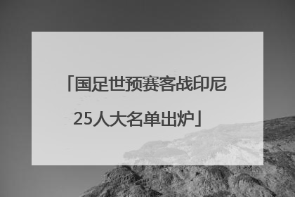 国足世预赛客战印尼25人大名单出炉