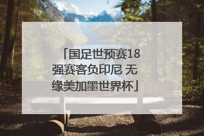 国足世预赛18强赛客负印尼 无缘美加墨世界杯