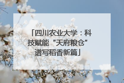 四川农业大学：科技赋能“天府粮仓”谱写稻香新篇