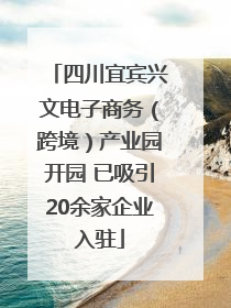 四川宜宾兴文电子商务（跨境）产业园开园 已吸引20余家企业入驻
