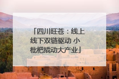 四川旺苍：线上线下双链驱动 小枇杷撬动大产业