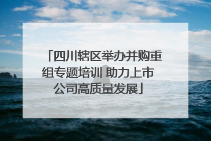 四川辖区举办并购重组专题培训 助力上市公司高质量发展