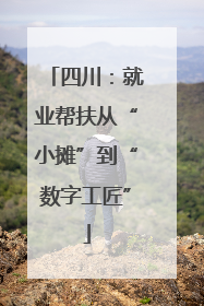 四川：就业帮扶从“小摊”到“数字工匠”