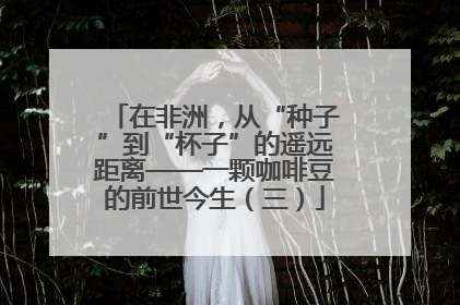 在非洲，从“种子”到“杯子”的遥远距离——一颗咖啡豆的前世今生（三）