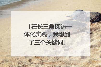 在长三角探访一体化实践，我想到了三个关键词
