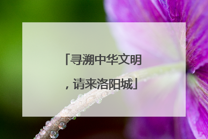 寻溯中华文明，请来洛阳城