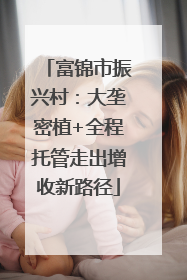 富锦市振兴村：大垄密植+全程托管走出增收新路径