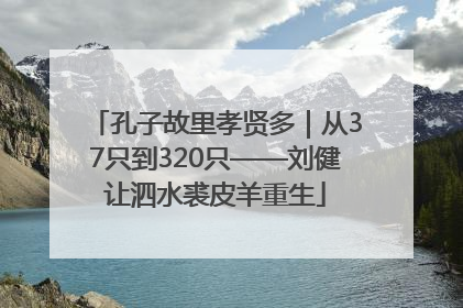 孔子故里孝贤多｜从37只到320只——刘健让泗水裘皮羊重生