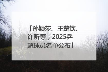孙颖莎、王楚钦、许昕等，2025乒超球员名单公布