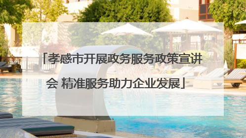孝感市开展政务服务政策宣讲会 精准服务助力企业发展