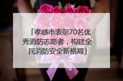 孝感市表彰70名优秀消防志愿者，构建全民消防安全新格局