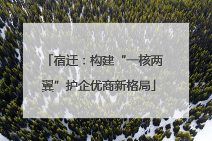 宿迁：构建“一核两翼”护企优商新格局