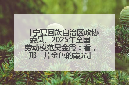 宁夏回族自治区政协委员、2025年全国劳动模范吴金霞：看，那一片金色的霞光