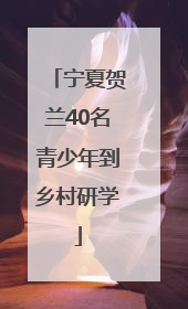 宁夏贺兰40名青少年到乡村研学