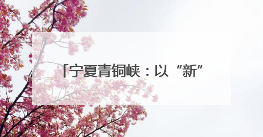 宁夏青铜峡：以“新”破题 向“绿”而行