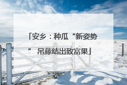 安乡：种瓜“新姿势” 吊藤结出致富果